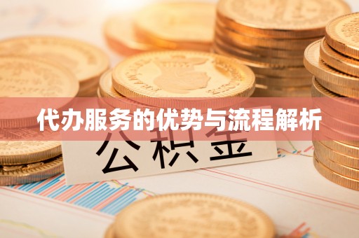 宿松代办服务的优势与流程解析