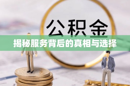 宿松揭秘服务背后的真相与选择