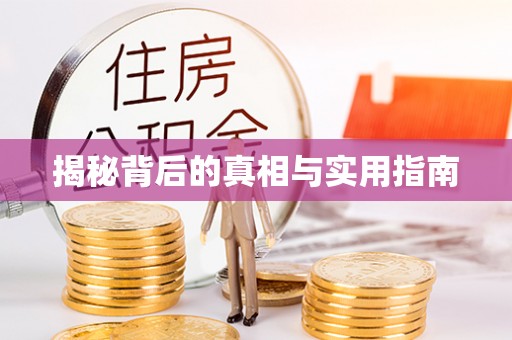 宿松揭秘背后的真相与实用指南