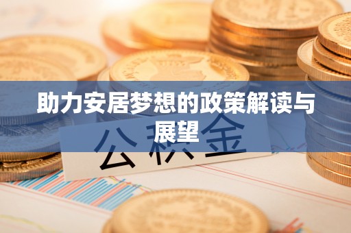 宿松助力安居梦想的政策解读与展望