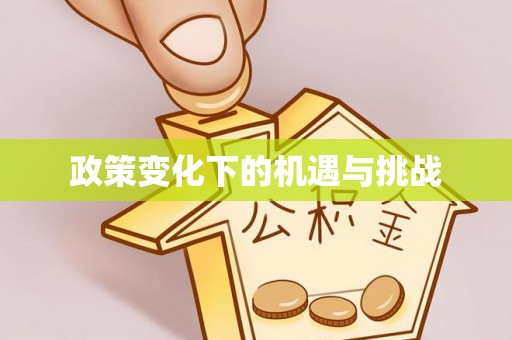 宿松政策变化下的机遇与挑战