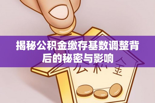 宿松揭秘公积金缴存基数调整背后的秘密与影响