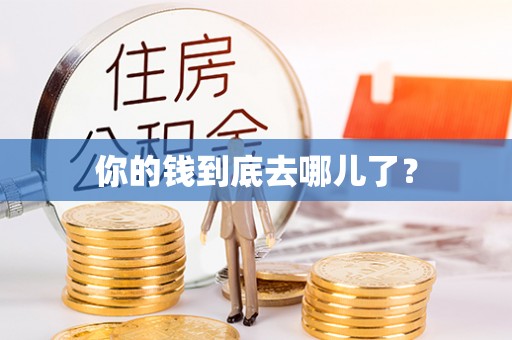 宿松你的钱到底去哪儿了？
