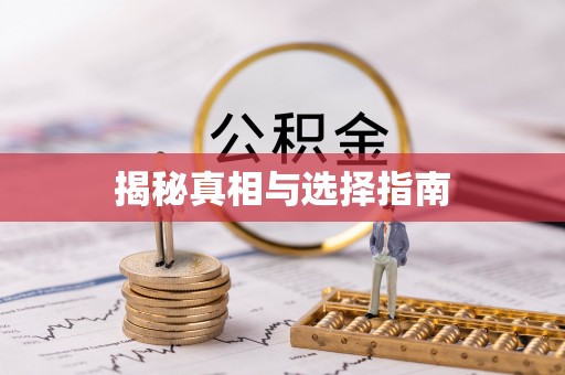 宿松揭秘真相与选择指南