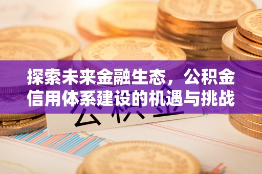 宿松探索未来金融生态，公积金信用体系建设的机遇与挑战