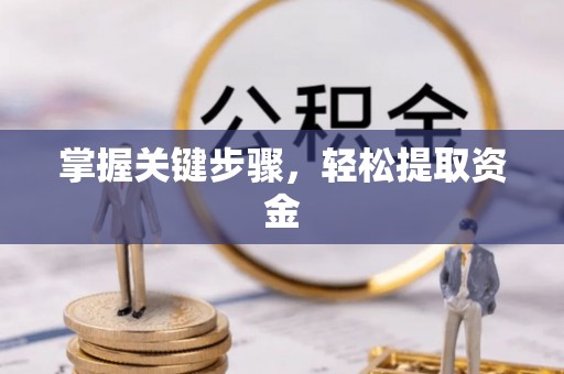 宿松掌握关键步骤，轻松提取资金