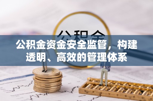 宿松公积金资金安全监管，构建透明、高效的管理体系