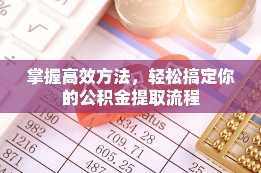 宿松掌握高效方法，轻松搞定你的公积金提取流程