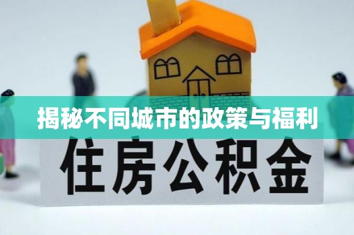 宿松揭秘不同城市的政策与福利