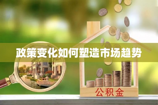 宿松政策变化如何塑造市场趋势