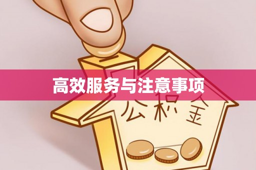 宿松高效服务与注意事项