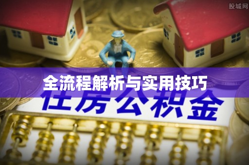 宿松全流程解析与实用技巧