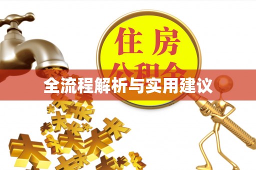 宿松全流程解析与实用建议
