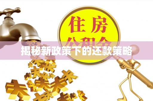 宿松揭秘新政策下的还款策略