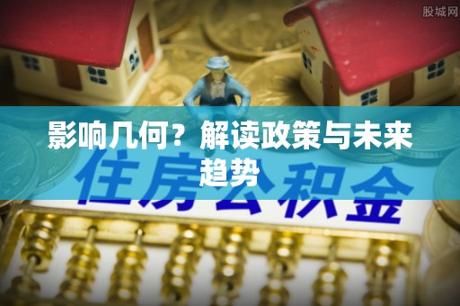 宿松影响几何？解读政策与未来趋势
