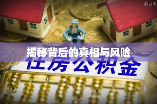 宿松揭秘背后的真相与风险