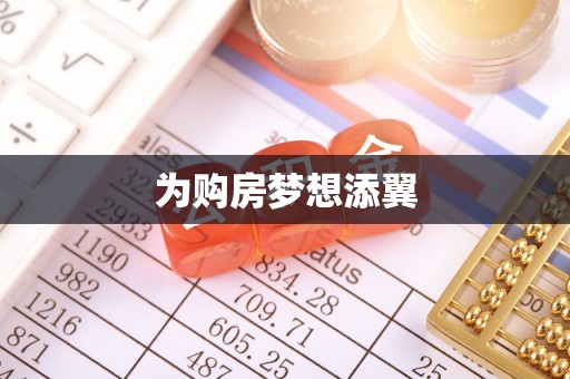 宿松为购房梦想添翼