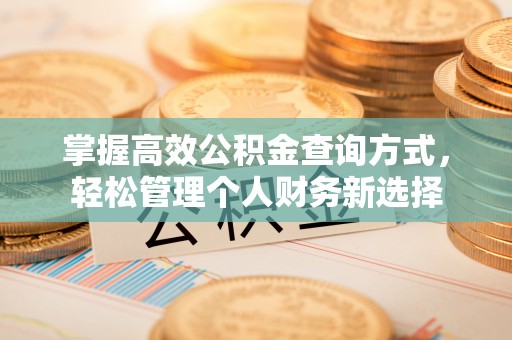 宿松掌握高效公积金查询方式，轻松管理个人财务新选择