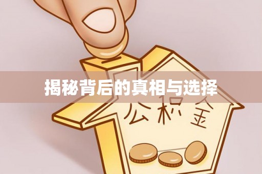 宿松揭秘背后的真相与选择