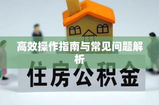 宿松高效操作指南与常见问题解析