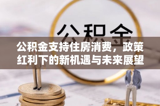 宿松公积金支持住房消费，政策红利下的新机遇与未来展望