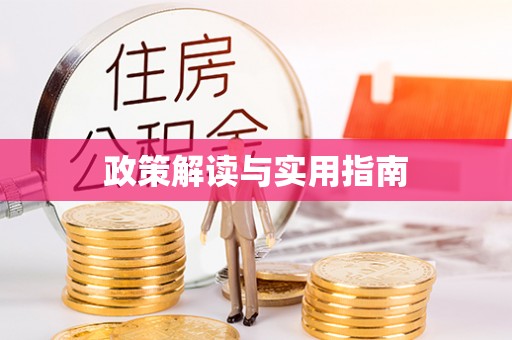 宿松政策解读与实用指南