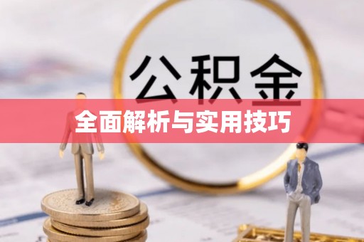 宿松全面解析与实用技巧