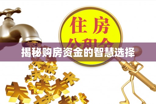 宿松揭秘购房资金的智慧选择