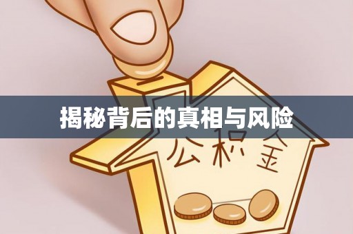 宿松揭秘背后的真相与风险