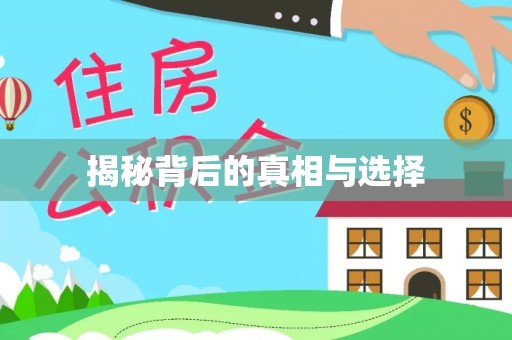 宿松揭秘背后的真相与选择