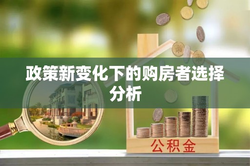 宿松政策新变化下的购房者选择分析