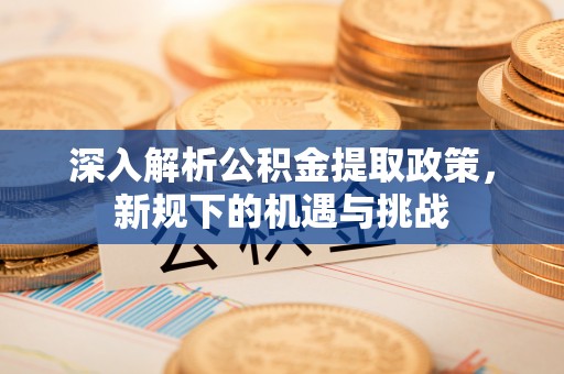 宿松深入解析公积金提取政策，新规下的机遇与挑战