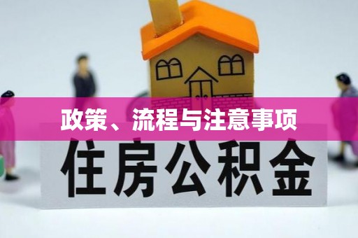 宿松政策、流程与注意事项
