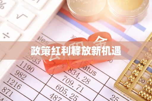 宿松政策红利释放新机遇