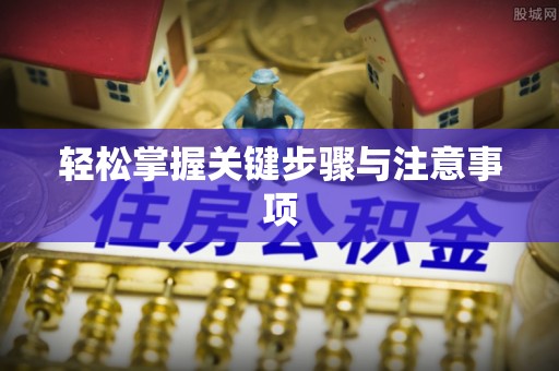 宿松轻松掌握关键步骤与注意事项
