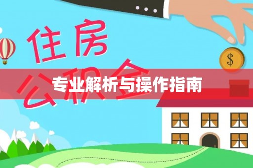 宿松专业解析与操作指南