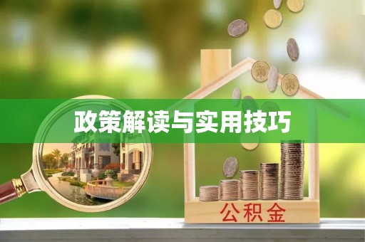 宿松政策解读与实用技巧