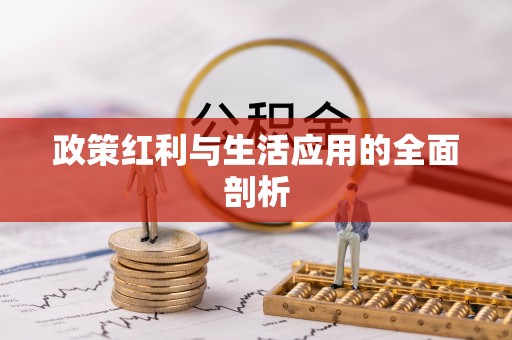 宿松政策红利与生活应用的全面剖析