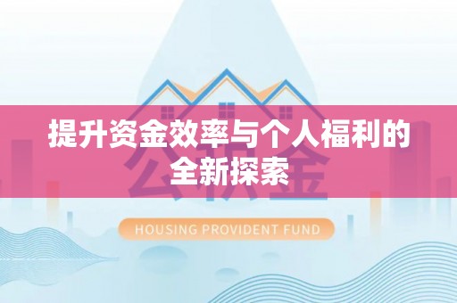 宿松提升资金效率与个人福利的全新探索