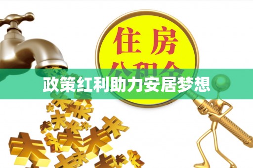 宿松政策红利助力安居梦想