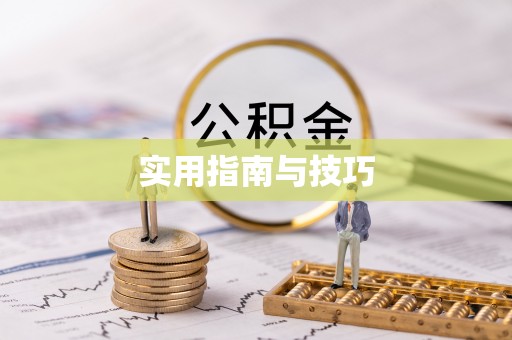 宿松实用指南与技巧