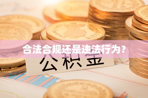 宿松合法合规还是违法行为？