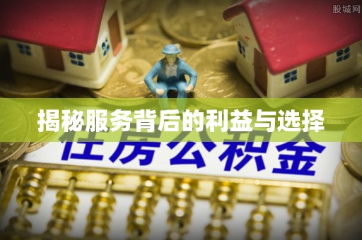 宿松揭秘服务背后的利益与选择