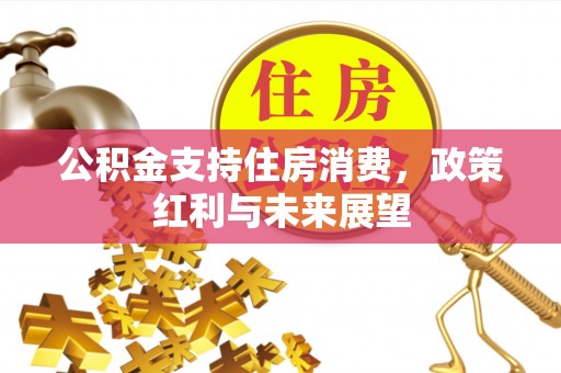 宿松公积金支持住房消费，政策红利与未来展望