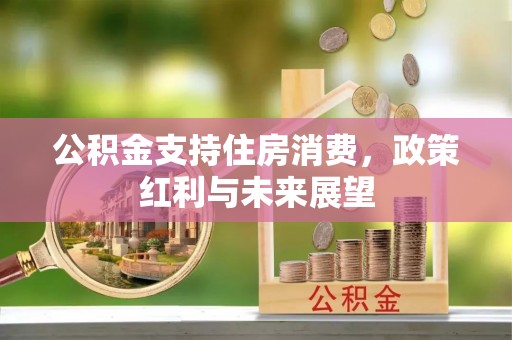 宿松公积金支持住房消费，政策红利与未来展望