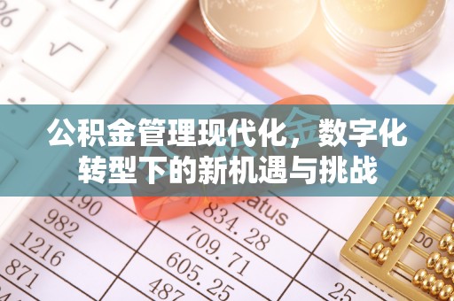 宿松公积金管理现代化，数字化转型下的新机遇与挑战
