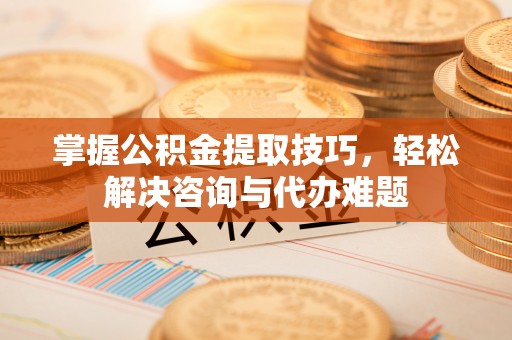 宿松掌握公积金提取技巧，轻松解决咨询与代办难题