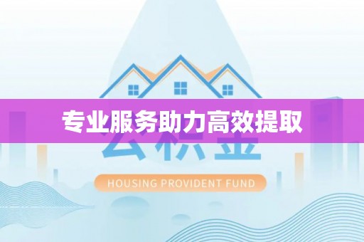 宿松专业服务助力高效提取