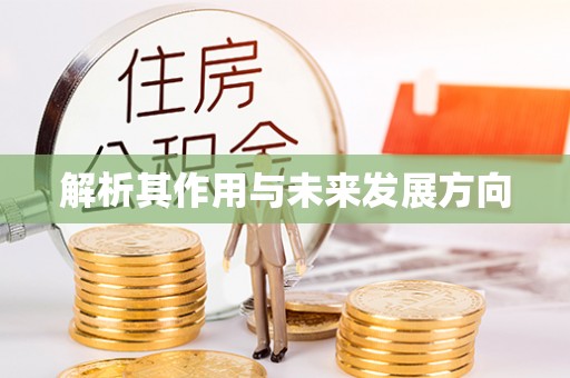 宿松解析其作用与未来发展方向