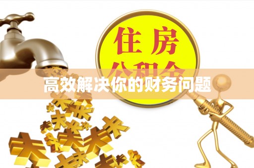 宿松高效解决你的财务问题
